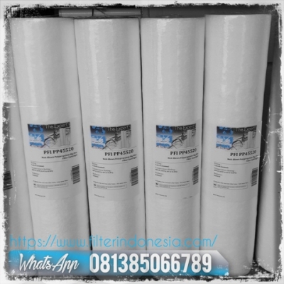 PP45 Big Blue Cartridge Filter Indonesia  large2
