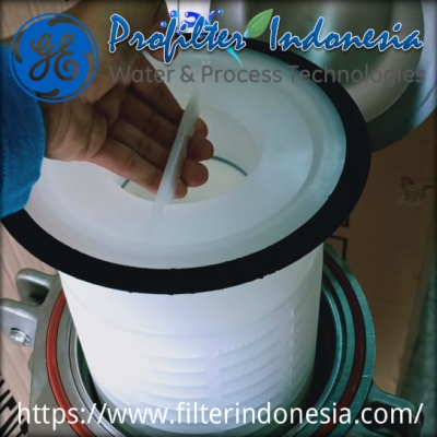 SWRO BWRO Pleated Filter Indonesia  large2