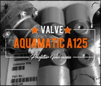 d d Aquamatic Valve A125 Filter Indonesia  large2
