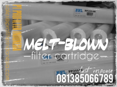 d d PP25 Meltblown Cartridge Filter Indonesia  large2