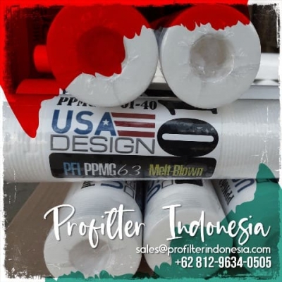 d ppmg filter cartridge  large2