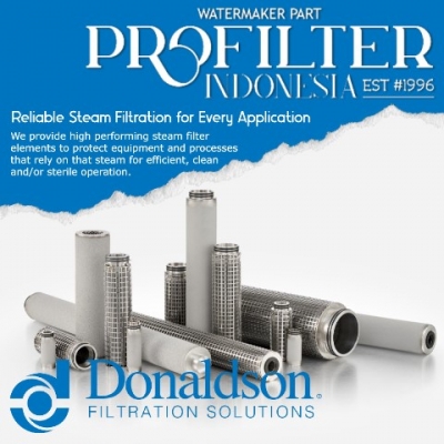 donaldson steam filter cartridge  large2