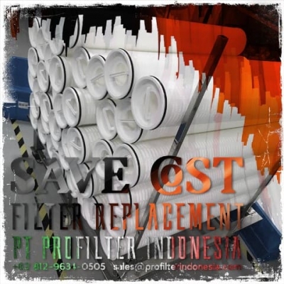 high flow cartridge filter  large2